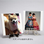 愛犬と愛娘さんのフォトタイルです。