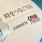 Bulett Studium EN71適合 ラグビーボール ラージェロップ Laxerop 印刷