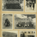 PictCloud お任せPRO 600のサンプル画像です。