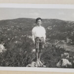 PictCloud 2000/5000のサンプル画像です。