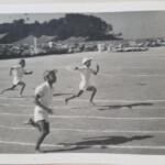 PictCloud 2000/5000のサンプル画像です。