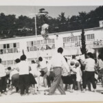 PictCloud 2000/5000のサンプル画像です。