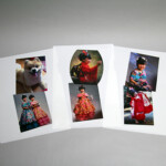 クリアフォルダーの外観写真です。