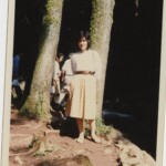 弊社プロ用スキャナ600dpiバラ写真のスキャン画像です。