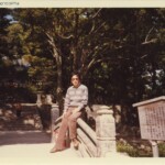 弊社プロ用スキャナ600dpiバラ写真のスキャン画像です。