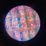 絹本のルーペ写真です